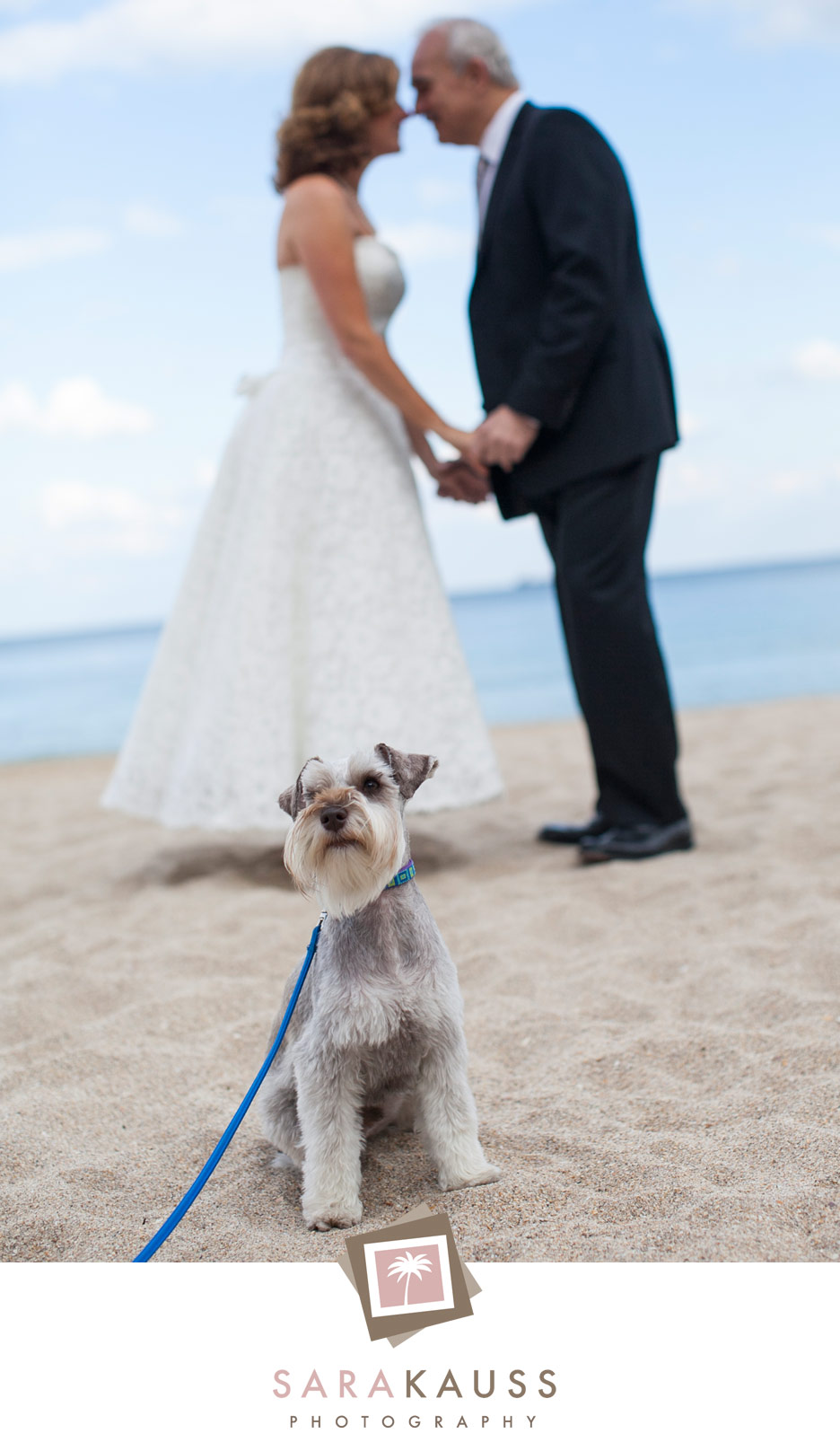 ritz-carlton-wedding-17_husband-wife-dog-kiss-beach - Sara Kauss Photography