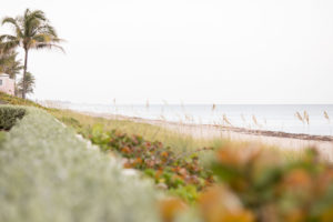 Delray Beach Wedding | Ashley and Trevor by Sara Kauss Photography